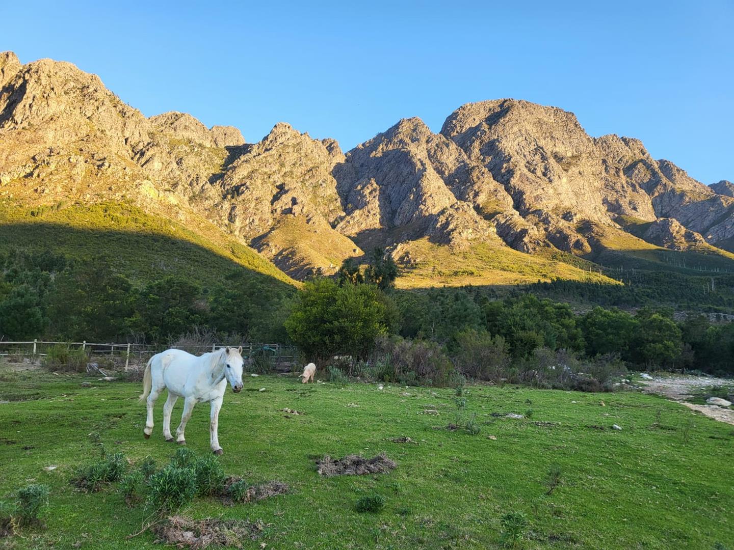 Commercial Property for Sale in Franschhoek Rural Western Cape